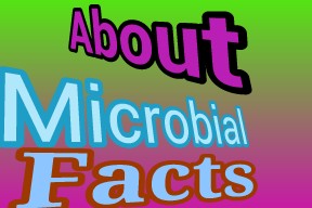microbial facts 