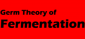 germ theory of fermentation