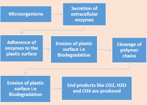 Enzymes involved in Plastic Degradation