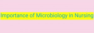 importance of microbiology in nursing