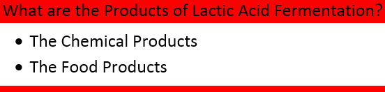 What are the products of lactic acid fermentation
