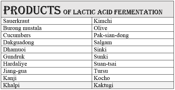 What are the Products of Lactic Acid Fermentation